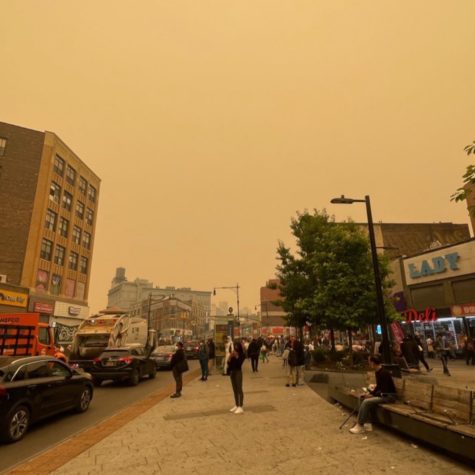 The South Bronx, referred to as Asthma alley, is battling yet another pollution source: the Canadian wildfire. The wildfire has left the community with increase concentrations of pollutants and orange smog.