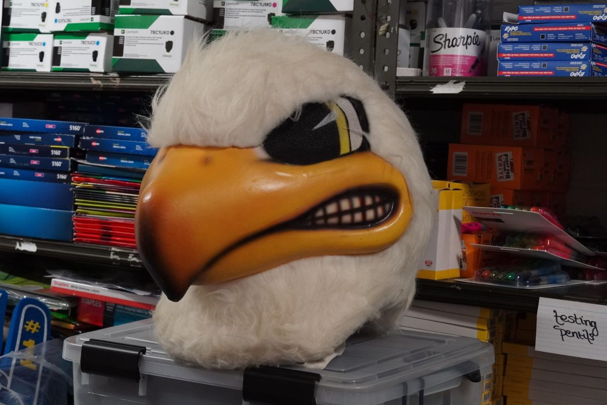 The Eagle Mascot: Not Talon-ted Enough